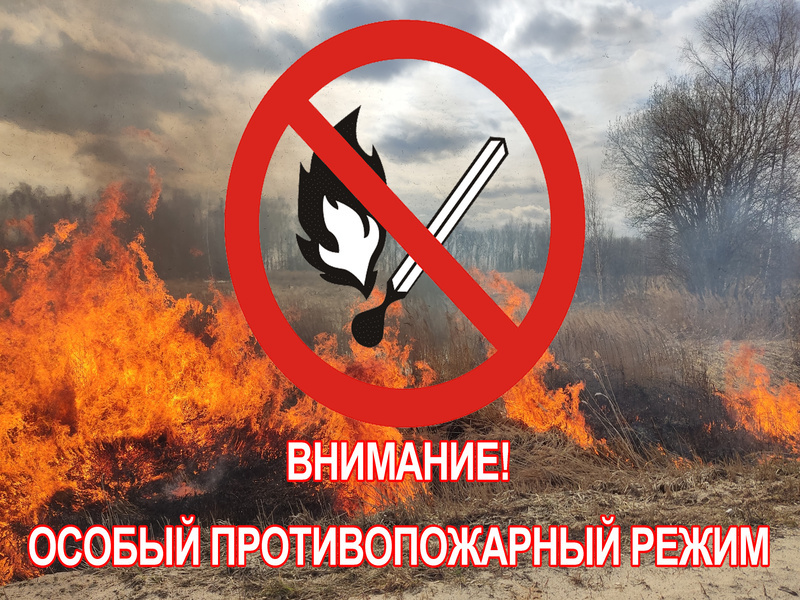 Особый противопожарный режим в лесах Кировской области.