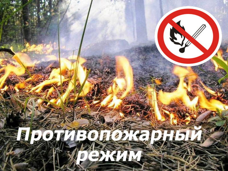 О ВВЕДЕНИИ ОСОБОГО ПРОТИВОПОЖАРНОГО РЕЖИМА НА ТЕРРИТОРИИ БОБИНСКОГО СЕЛЬСКОГО ПОСЕЛЕНИЯ. О ВВЕДЕНИИ ОСОБОГО ПРОТИВОПОЖАРНОГО РЕЖИМА НА ТЕРРИТОРИИ БОБИНСКОГО СЕЛЬСКОГО ПОСЕЛЕНИЯ.