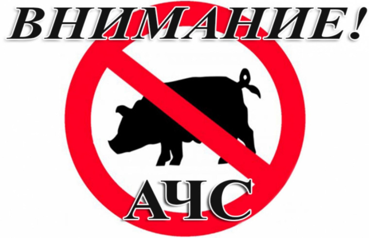 АЧС уже в Кировской области. АЧС уже в Кировской области.