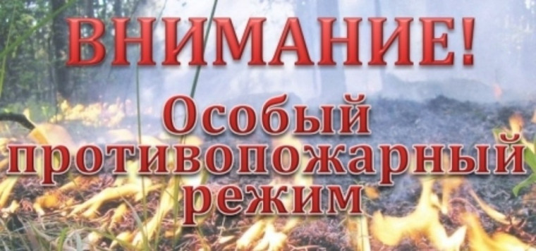 Постановление Правительства Кировской области №274-П от 30.05.2025. Постановление Правительства Кировской области №274-П от 30.05.2025.