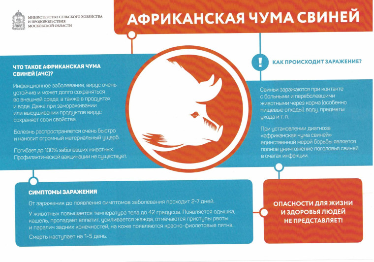 Вспышка африканской чумы в Кировской области. Вспышка африканской чумы в Кировской области.